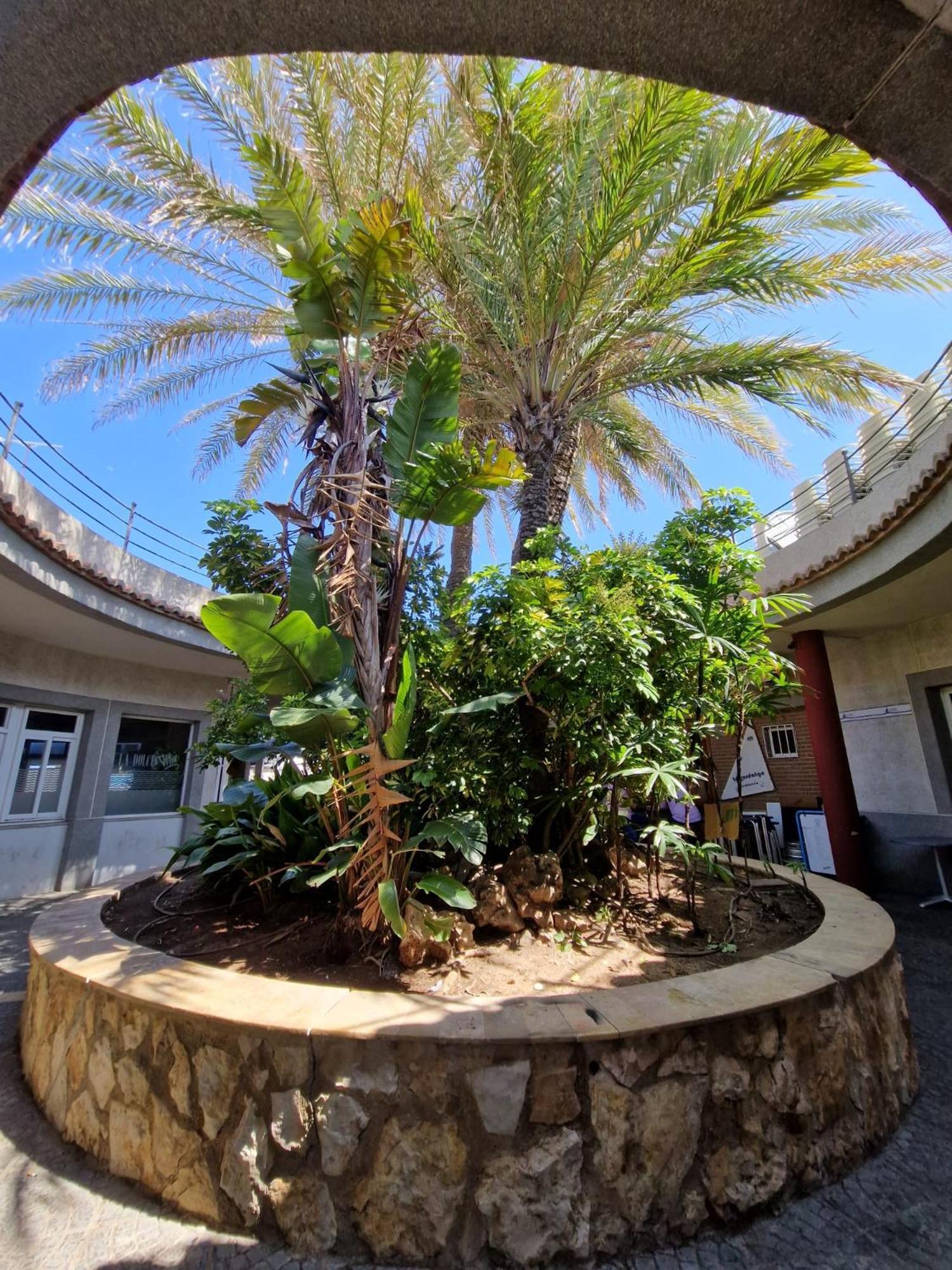 Apartamento Barbacoa, Piscina Y Playa Puebla de Farnals Luaran gambar