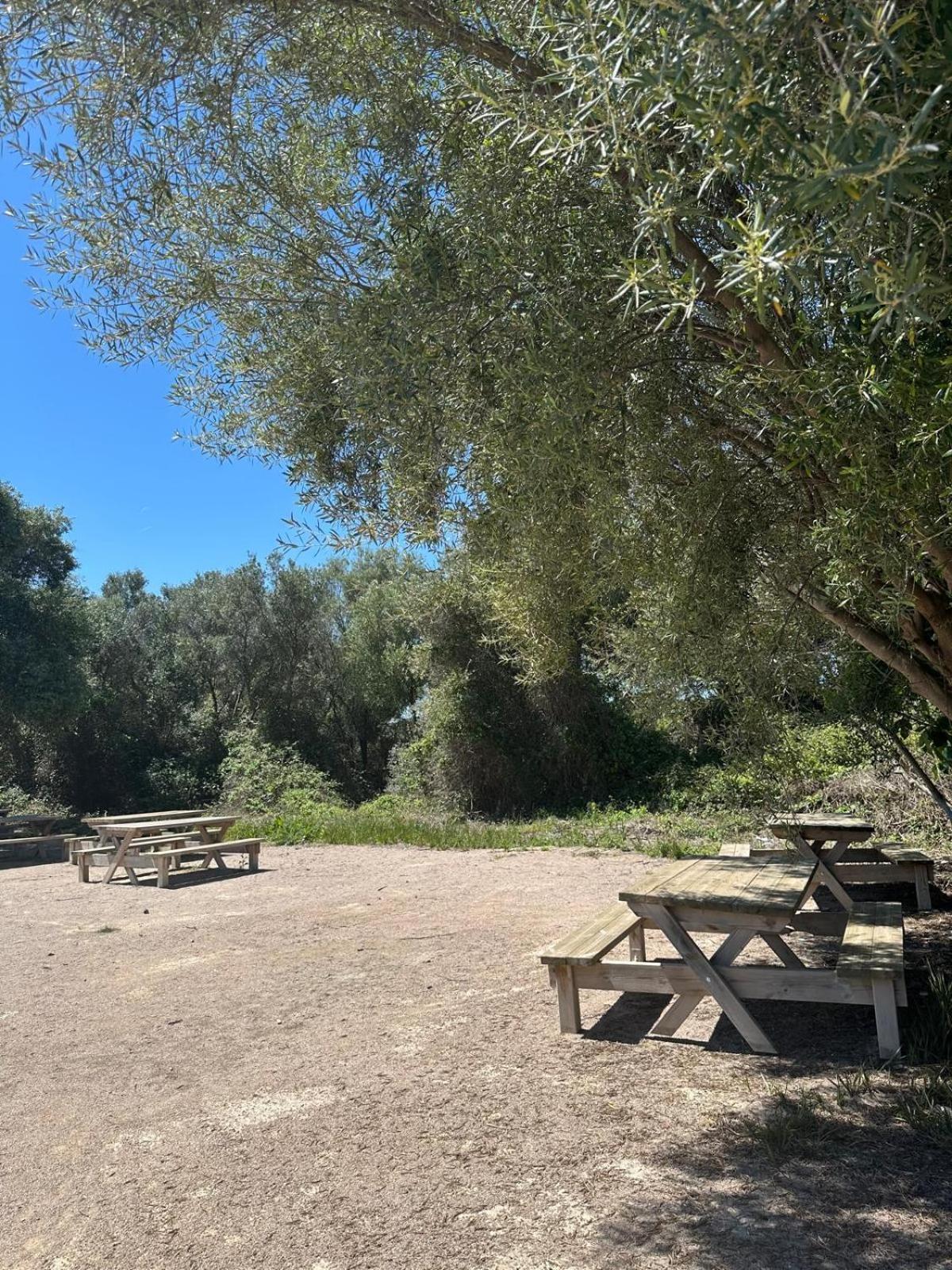 Apartamento Barbacoa, Piscina Y Playa Puebla de Farnals Luaran gambar